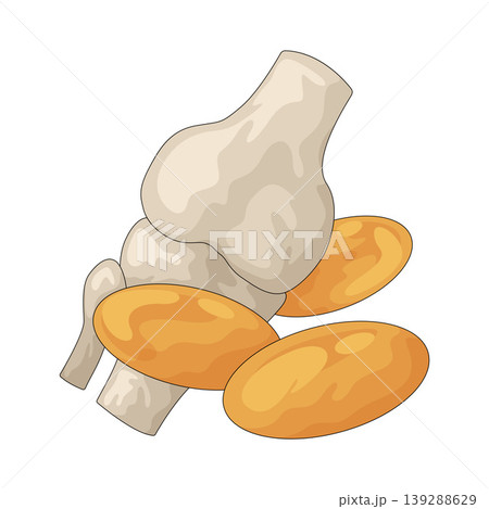 Illustration of joint pill 139288629