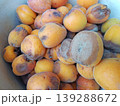 Rotten, overripe apricots. Moldy fruit unfit for consumption 139288672