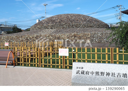 武蔵府中熊野神社古墳(東京都府中市) 武蔵府中熊野神社古墳(東京都府中市) 139290065
