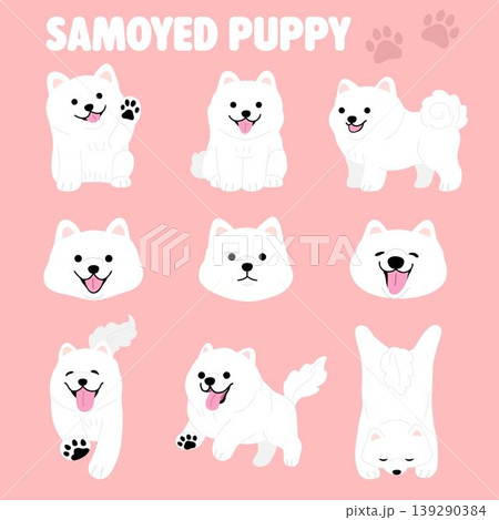 Cute Samoyed puppy cartoon illustration in action Cute Samoyed puppy cartoon illustration in action 139290384