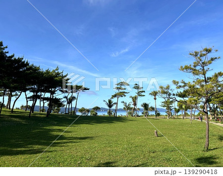 松と椰子が立つ海辺の公園と青い海を望む沖縄の風景 139290418