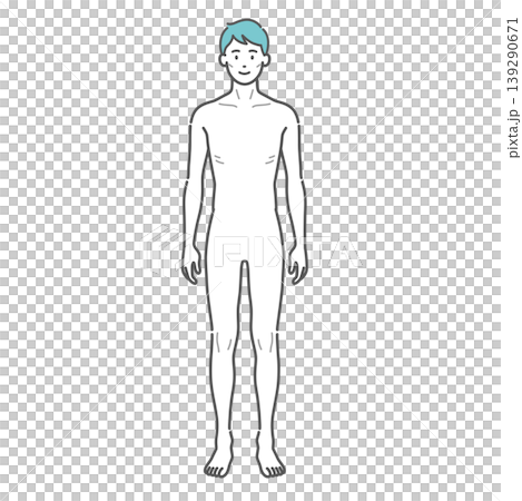 Full-body illustration of a slender adult male (front view) 139290671