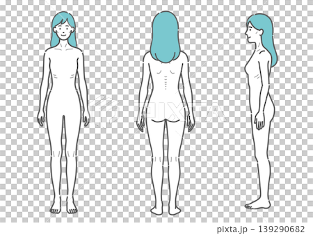Full-body illustration of a slender adult woman (set of 3 angles: front, back, and side) Full-body illustration of a slender adult woman (set of 3 angles: front, back, and side) 139290682
