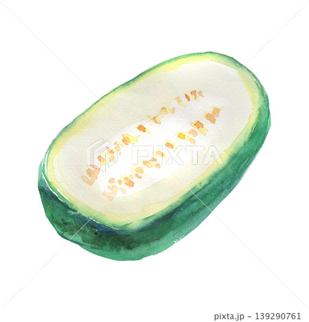 冬瓜の水彩イラスト 冬瓜の水彩イラスト 139290761
