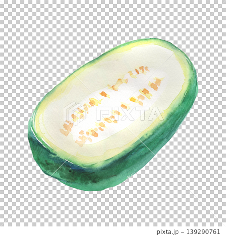 冬瓜水彩插圖 139290761