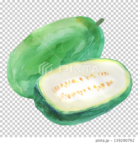 冬瓜水彩插圖 3 139290762