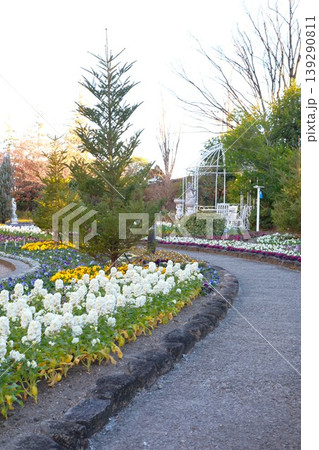 公園の散策路 139290811