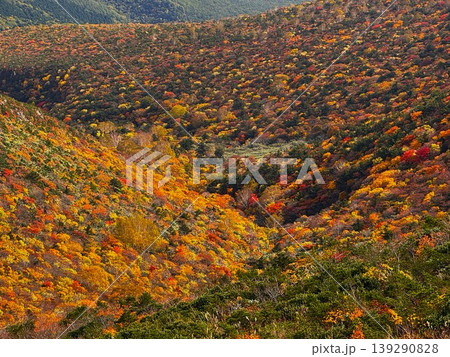 安達太良山の紅葉③ 安達太良山の紅葉③ 139290828