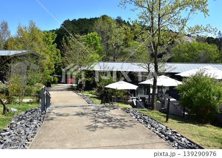 町田薬師池公園四季彩の杜西園（ウェルカムゲート）　散策路と観光施設と新緑 139290976