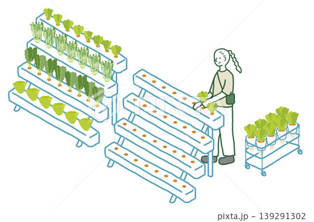 野菜工場のイメージイラスト 野菜工場のイメージイラスト 139291302