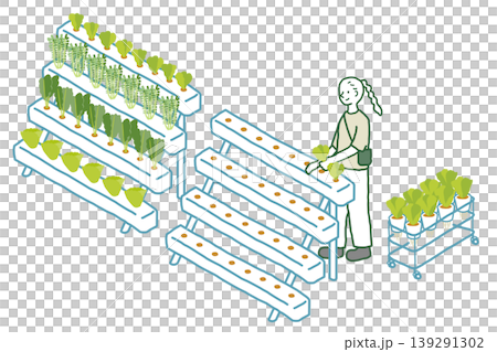 Conceptual illustration of a vegetable factory Conceptual illustration of a vegetable factory 139291302