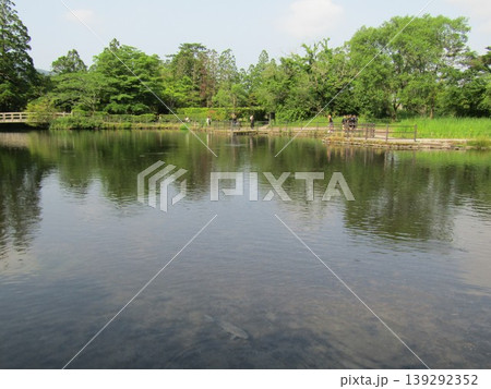 大分県由布市湯布院町、神秘的な絶景と由布院の人気観光スポット「金鱗湖」 大分県由布市湯布院町、神秘的な絶景と由布院の人気観光スポット「金鱗湖」 139292352