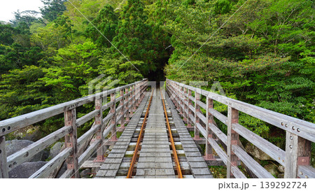縄文杉 トレッキング 屋久島 縄文杉 トレッキング 屋久島 139292724