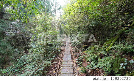 縄文杉 トレッキング 屋久島 139292726
