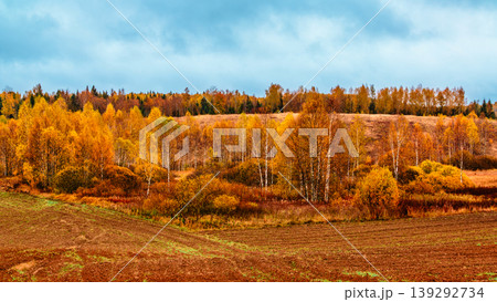 Autumn landscape showcasing vibrant foliage in a rural setting Autumn landscape showcasing vibrant foliage in a rural setting 139292734