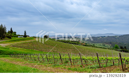 Vineyard landscape under cloudy sky in Tuscany with rolling hills and green fields 139292819