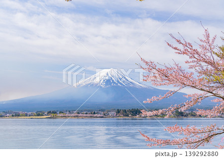 (山梨県)河口湖・湖畔の桜と富士山 (山梨県)河口湖・湖畔の桜と富士山 139292880