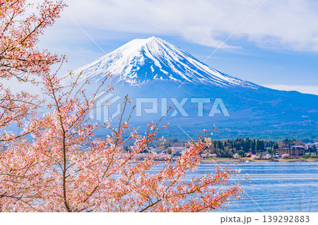 （山梨県）河口湖・湖畔の桜と富士山 139292883