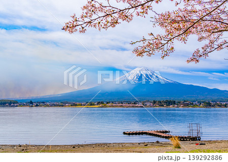 (山梨県)河口湖・湖畔の桜と富士山 (山梨県)河口湖・湖畔の桜と富士山 139292886