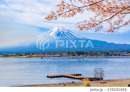 (山梨県)河口湖・湖畔の桜と富士山 (山梨県)河口湖・湖畔の桜と富士山 139292888