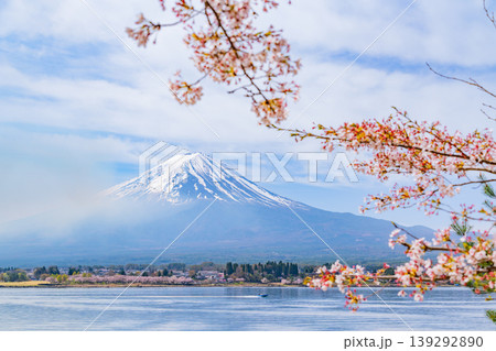 （山梨県）河口湖・湖畔の桜と富士山 139292890