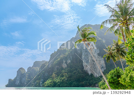 Tonsai Beach bay, Phi Phi island, Krabi Province, Thailand. 139292948