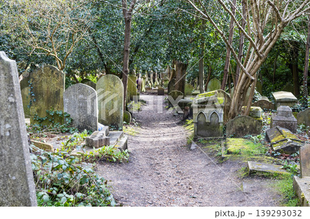 Path through historic Highgate Cemetery in London Path through historic Highgate Cemetery in London 139293032