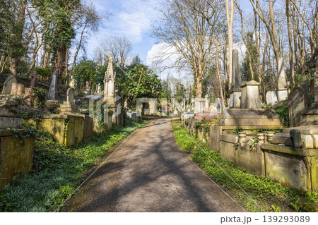 A path through historic Highgate Cemetery in London 139293089