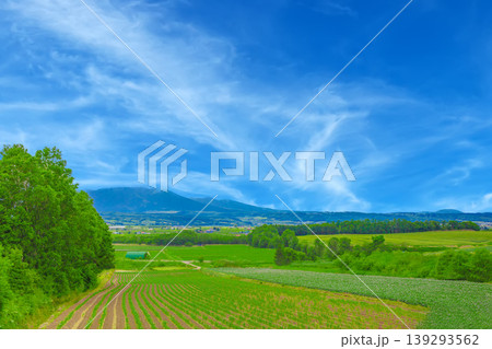 広大な田園風景 広大な田園風景 139293562