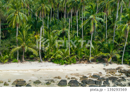 Tropical beach with coconut trees and white sand in the Eastern Sea of Thailand. Tropical beach with coconut trees and white sand in the Eastern Sea of Thailand. 139293569