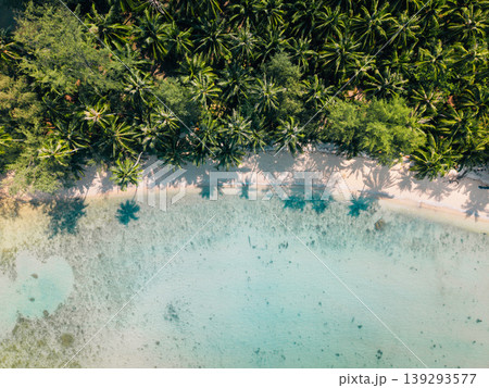 Top view of palm trees shadows on a white sandy beach in the Eastern Sea of Thailand. Top view of palm trees shadows on a white sandy beach in the Eastern Sea of Thailand. 139293577
