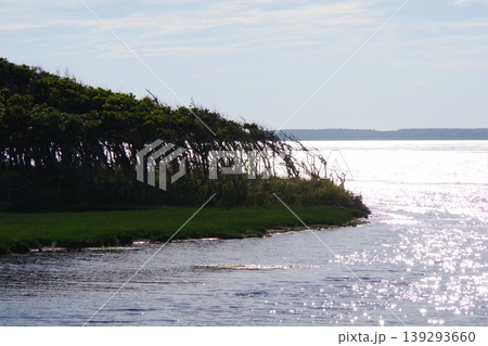 北海道別海町 野付半島・フラワーロード沿いの風景 北海道別海町 野付半島・フラワーロード沿いの風景 139293660