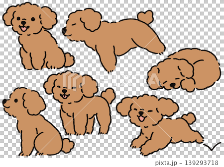 Simple and cute dog illustration set: Toy Poodle pose collection ② Simple and cute dog illustration set: Toy Poodle pose collection ② 139293718