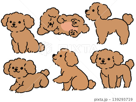 シンプルかわいい犬のイラストセット　トイプードルポーズ集① 139293719