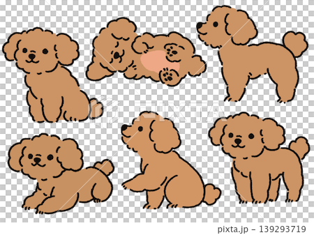 Simple and cute dog illustration set: Toy Poodle pose collection ① 139293719