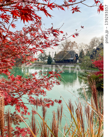 Picturesque autumn landscape with red maple leaves and turquoise pond. Picturesque autumn landscape with red maple leaves and turquoise pond. 139293857