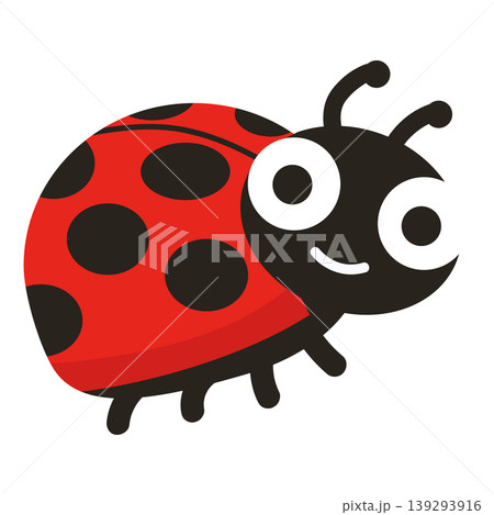 Ladybug Isolated On White Background Ladybug Isolated On White Background 139293916