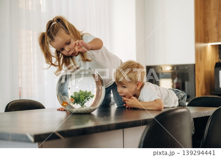 Curious kids are looking and touching the aquarium that is on the table in domestic room 139294441