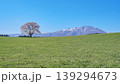 小岩井農場の一本桜と岩手山 139294673