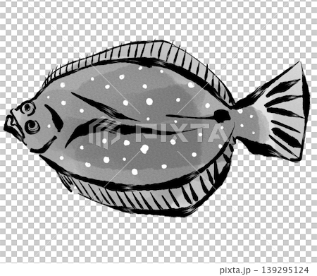 Flounder_Monochrome Flounder_Monochrome 139295124
