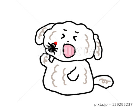 マダニに噛まれる白い犬 139295237