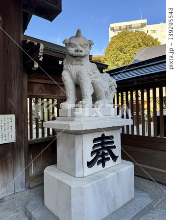 博多の総鎮守、櫛田神社の狛犬。歴史ある社殿を守る荘厳な佇まい 博多の総鎮守、櫛田神社の狛犬。歴史ある社殿を守る荘厳な佇まい 139295548