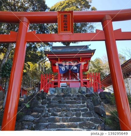 赤い鳥居と石段の先の神社 139295649