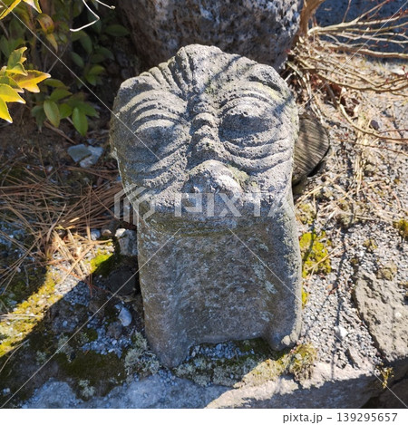苔むした石像の顔 苔むした石像の顔 139295657