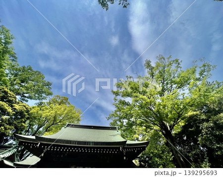 小江戸川越　川越氷川神社 139295693