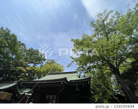 小江戸川越 川越氷川神社 小江戸川越 川越氷川神社 139295694