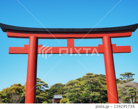 神奈川県 鶴岡八幡宮 三の鳥居 4月 神奈川県 鶴岡八幡宮 三の鳥居 4月 139295738