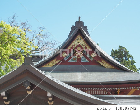 神奈川県　鶴岡八幡宮　若の宮　4月 139295742