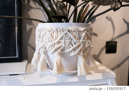 Flower pot with zamioculcas plant decorated with diy macrame standing on white piano Flower pot with zamioculcas plant decorated with diy macrame standing on white piano 139295917