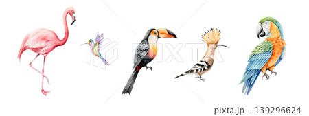 Set of tropical birds. Watercolor hand drawn hummingbird, pink flamingo, parrot macaw, toco toucan, hoopoe. Isolated illustration on transparent background. Perfect for tropical design projects. For 139296624